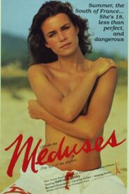 Year of the Jellyfish 1984 on netflix