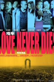 Love Never Dies 2011 on netflix