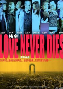Love Never Dies 2011 on netflix