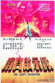 The Lady Assassin 1983 on netflix