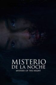 Mystery of the Night 2019 on netflix