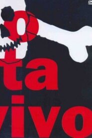 RPM – Radio Pirata Ao Vivo 1987 on netflix