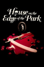 House on the Edge of the Park 1980 on netflix