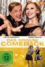 Das große Comeback 2011 on netflix