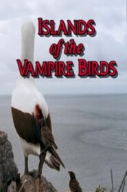 Islands of the Vampire Birds 1999 on netflix