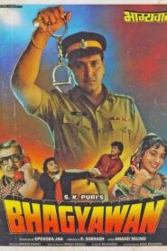 Bhagyawan 1993 on netflix