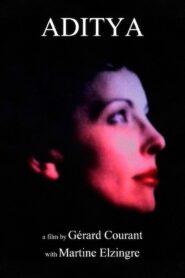 Aditya 1980 on netflix