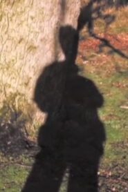 Forest Murmurs 2006 on netflix