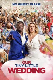 Our Tiny Little Wedding 2023 on netflix