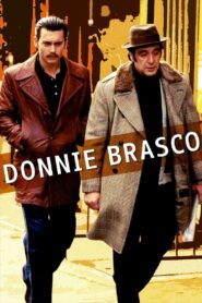 Donnie Brasco 1997 on netflix