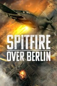 Spitfire Over Berlin 2022 on netflix