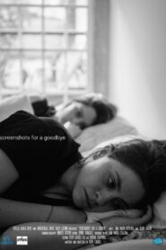 Screenshots for a Goodbye 2020 on netflix