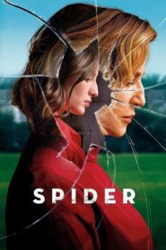 Spider 2019 on netflix
