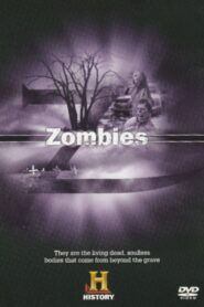 Zombies 2002 on netflix