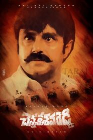 Chennakesava Reddy 2002 on netflix