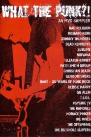 What the Punk – An MVD Sampler 2002 on netflix