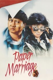 Paper Marriage 1988 on netflix