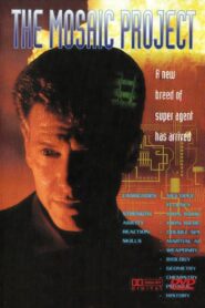 The Mosaic Project 1994 on netflix