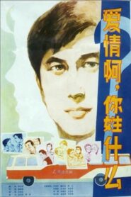 What Is Love? 1980 on netflix