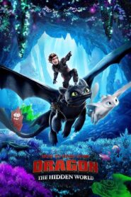 How to Train Your Dragon: The Hidden World 2019 on netflix