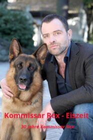 Kommissar Rex – Eiszeit 2013 on netflix