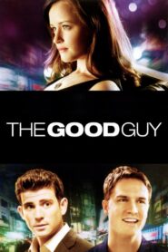 The Good Guy 2009 on netflix