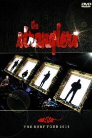 The Stranglers: The Ruby Tour 2014 on netflix