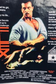 Flex 1988 on netflix