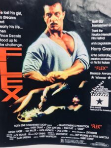 Flex 1988 on netflix