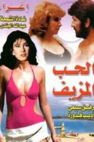 Fake Love 1980 on netflix