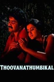 Thoovanathumbikal 1987 on netflix