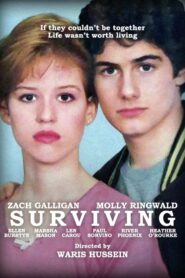Surviving 1985 on netflix