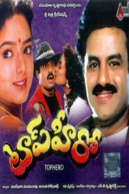 Top Hero 1994 on netflix