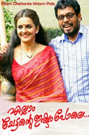 Ellam Chettante Ishtam Pole 2015 on netflix