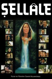 The Waterfall 2001 on netflix