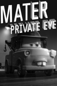 Mater Private Eye 2010 on netflix