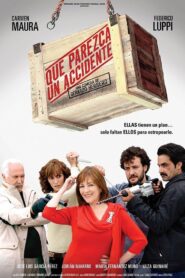 Que parezca un accidente 2008 on netflix
