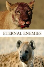 Eternal Enemies: Revealed 2022 on netflix