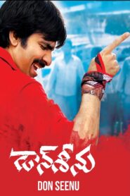 Don Seenu 2010 on netflix