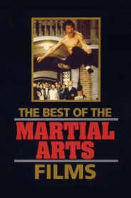 The Best of the Martial Arts Films 1990 on netflix