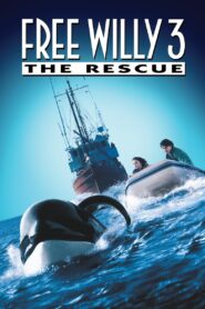 Free Willy 3: The Rescue 1997 on netflix