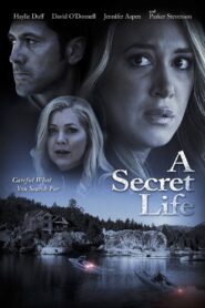 His Secret Family 2015 on netflix