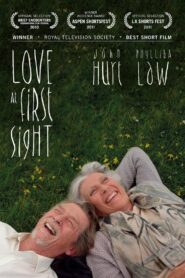 Love at First Sight 2010 on netflix