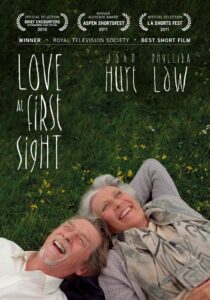Love at First Sight 2010 on netflix