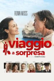 Viaggio a sorpresa 2022 on netflix