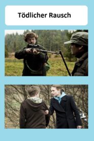 Tödlicher Rausch 2011 on netflix