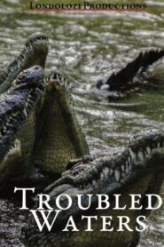 Troubled Waters 1993 on netflix
