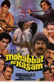 Mohabbat Ki Kasam 1986 on netflix