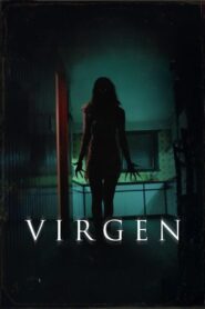 Virgin 2017 on netflix