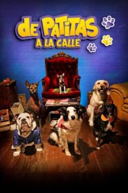 De patitas a la calle 2020 on netflix